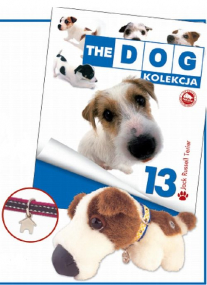 Dog Kolekcja 13 Jack Russell Terrier -  | okładka