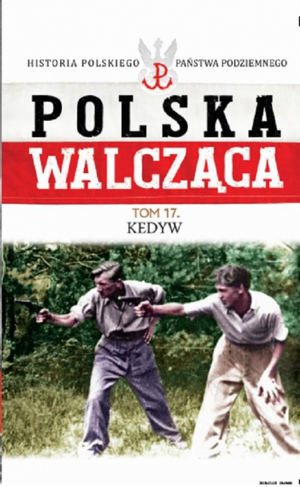Polska Walcząca Tom 17 Kedyw -  | okładka