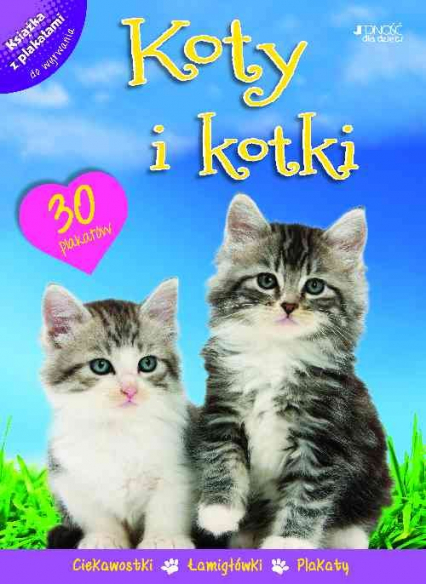 Koty i kotki Książka z plakatami - Praca zbiorowa | okładka
