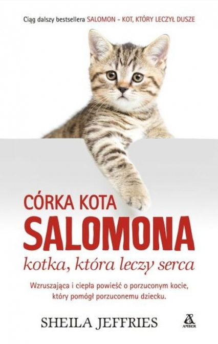Córka kota Salomona Kotka, która leczy serca - Sheila Jeffries | okładka
