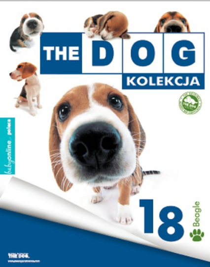 The dog Beagle -  | okładka