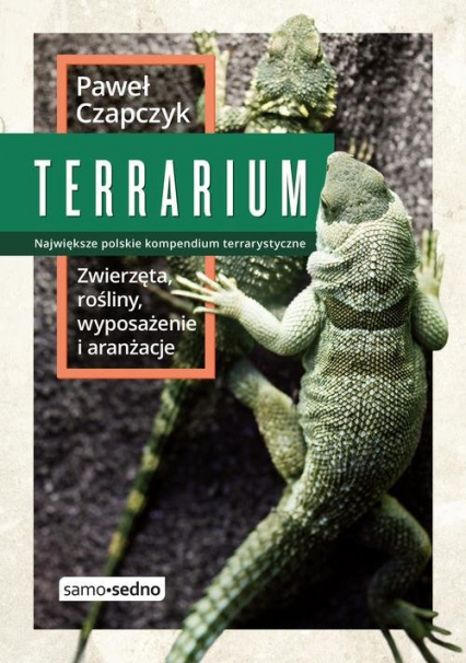 Terrarium Zwierzęta rośliny wyposażenie aranżacje - Paweł Czapczyk | okładka