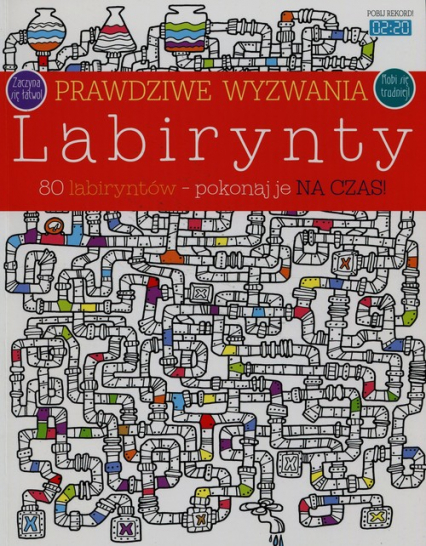 Prawdziwe wyzwania Labirynty 80 labiryntów pokonaj je na czas - Ebert Andrea, Mária Nerádová | okładka
