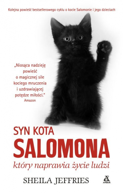 Syn kota Salomona który naprawia życie ludzi - Sheila Jeffries | okładka
