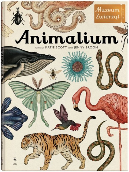 Animalium. Muzeum zwierząt - Jenny Broom | okładka