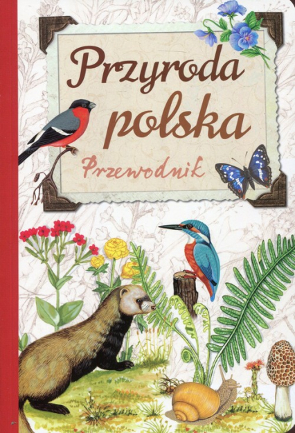 Przyroda polska Przewodnik - Dzwonkowski Robert Jacek | okładka