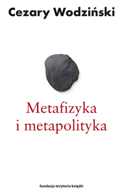 Metafizyka i metapolityka Czarne zeszyty Heideggera - Cezary Wodziński | okładka