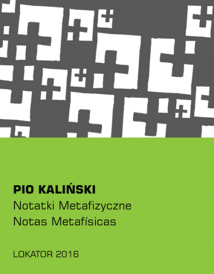 Notatki metafizyczne - Pio Kaliński | okładka