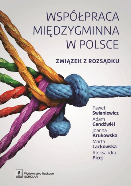 Współpraca międzygminna w Polsce Związek z rozsądku - Paweł Swianiewicz | okładka