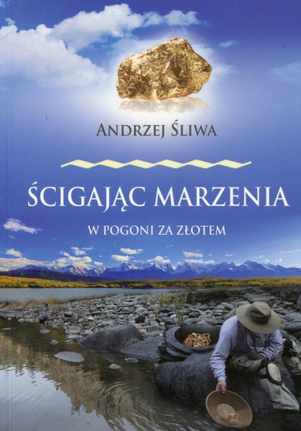 Ścigając marzenia W pogoni za złotem - Andrzej Śliwa | okładka