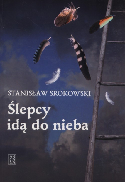 Ślepcy idą do nieba - Stanisław Srokowski | okładka