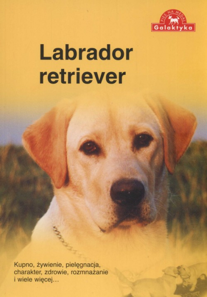Labrador retriever -  | okładka
