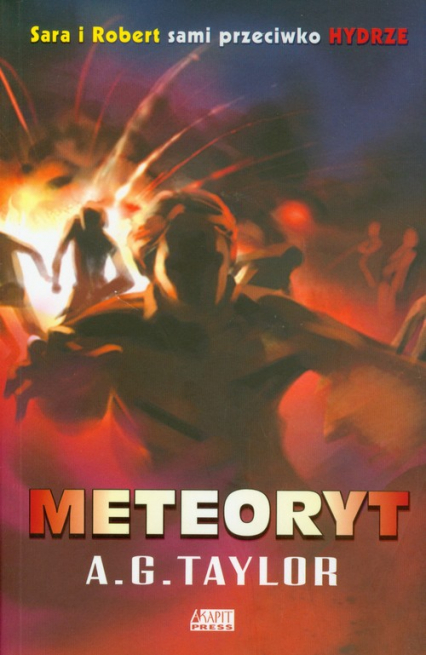 Meteoryt - C.L. Taylor | okładka