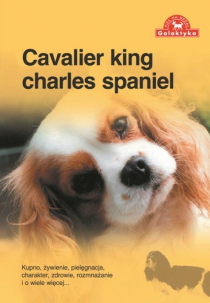 Cavalier king charles spaniel -  | okładka