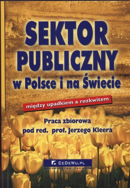 Sektor publiczny w Polsce i na Świecie między upadkiem a rozkwitem -  | okładka