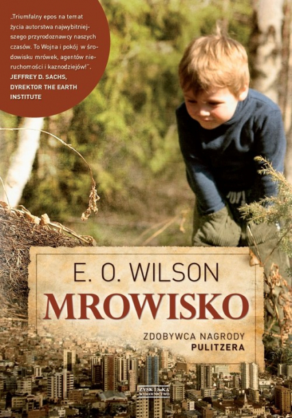 Mrowisko - D.W. Wilson | okładka