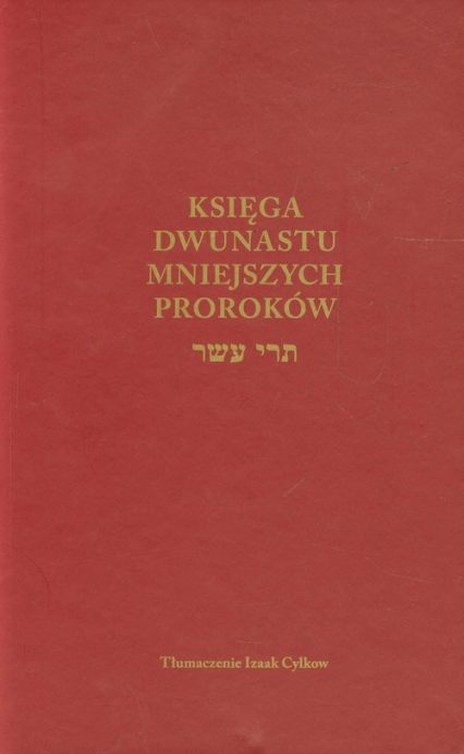 Księga Dwunastu mniejszych proroków - Izaak Cylkow | okładka