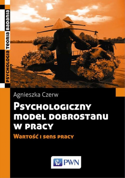 Psychologiczny model dobrostanu w pracy Wartość i sens pracy - Agnieszka Czerw | okładka