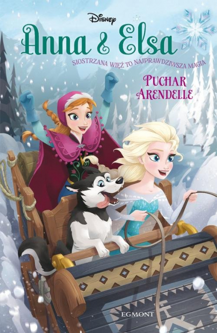 Kraina lodu Anna i Elsa Puchar Arendelle - Erica David | okładka