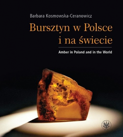 Bursztyn w Polsce i na świecie Amber in Poland and in the World - Barbara Kosmowska-Ceranowicz | okładka