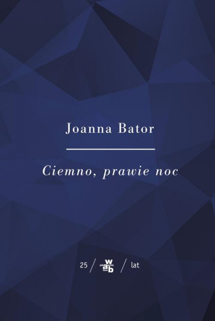 Ciemno, prawie noc - Joanna Bator | okładka