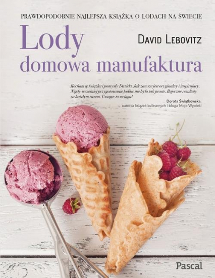 Lody Domowa manufaktura - David Lebovitz | okładka