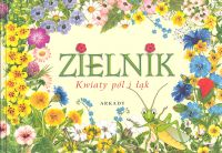 Zielnik Kwiaty pól i łąk - Agnieszka Rekłajtis-Zawada | okładka