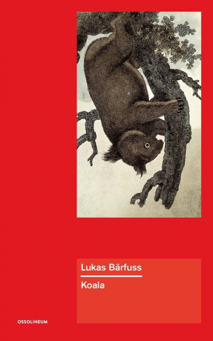 Koala - Lukas Barfuss | okładka