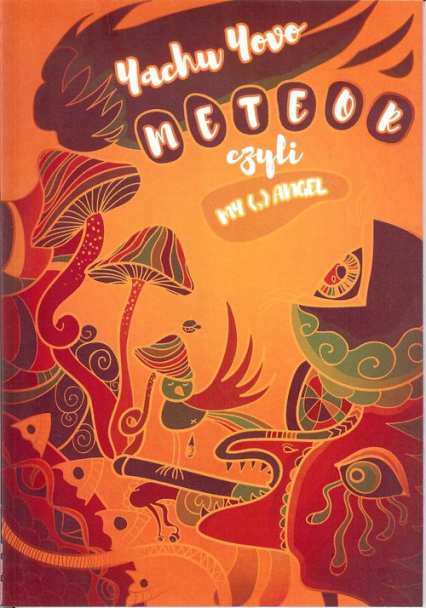 Meteor czyli My - Yovo Yachu | okładka