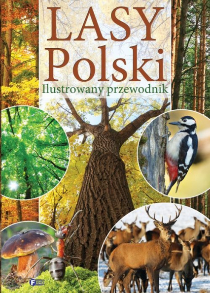 Lasy Polski Ilustrowany przewodnik -  | okładka