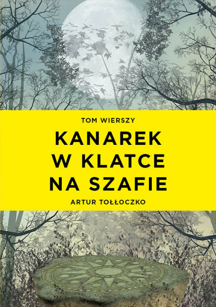 Kanarek w klatce na szafie - Artur Tołłoczko | okładka
