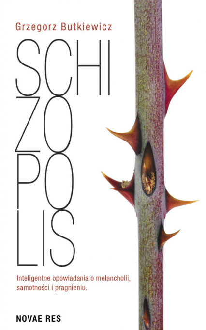 Schizopolis - Grzegorz Butkiewicz | okładka