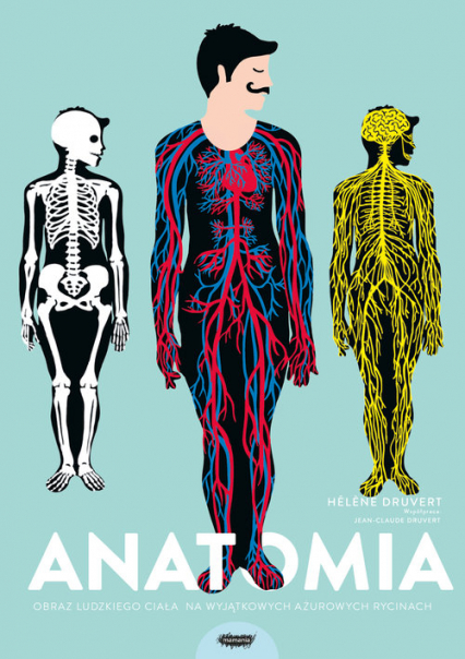 Anatomia Obraz ludzkiego ciała na wyjątkowych ażurowych rycinach - Helene Druvert | okładka