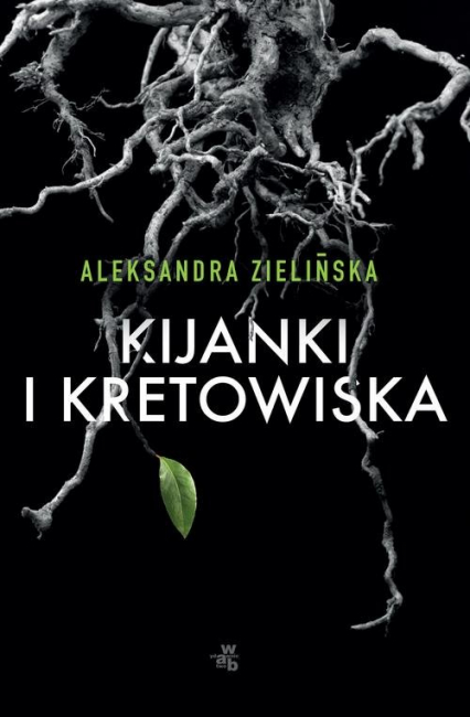 Kijanki i kretowiska - Aleksandra Zielińska | okładka
