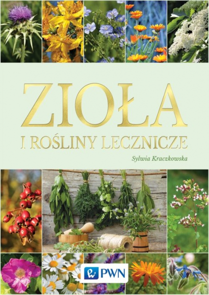 Zioła i rośliny lecznicze - Sylwia Kraczkowska | okładka