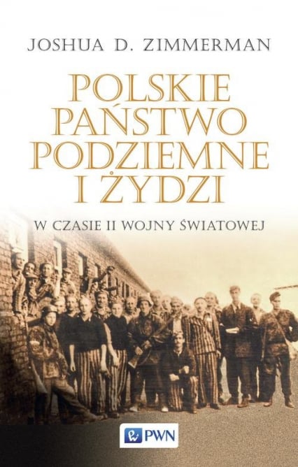 Polskie Państwo Podziemne i Żydzi w czasie II wojny światowej - Zimmerman Joshua D. | okładka