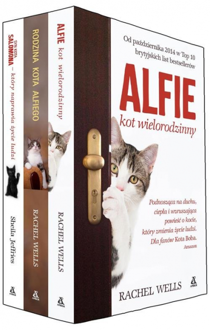 Alfie kot wielorodzinny / Rodzina kota Alfiego / Syn kota Salomona - Weells Rachel | okładka