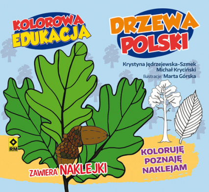Kolorowa edukacja Drzewa Polski naklejki - Jędrzejewska-Szmek Krystyna, Kryciński Michał | okładka