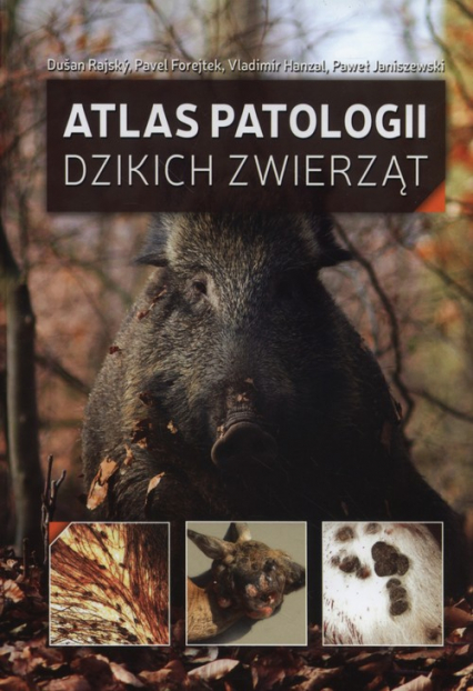Atlas patologii dzikich zwierząt - . Forejtek Pavel, Hanzal Vladimir, Rajský Dusan | okładka