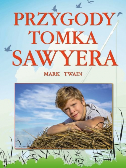 Przygody Tomka Sawyera - Mark Twain | okładka