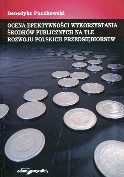 Ocena efektywności wykorzystania środków publicznych na tle rozwoju polskich przedsiębiorstw - Benedykt Puczkowski | okładka