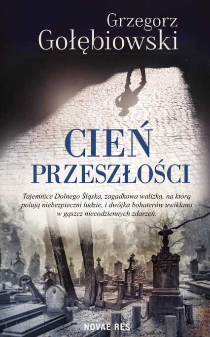 Cień przeszłości - Gołębiowski Grzegorz | okładka
