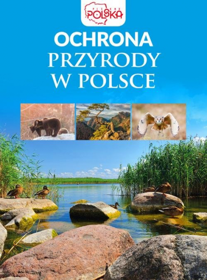 Ochrona przyrody w Polsce - Opracowanie Zbiorowe | okładka