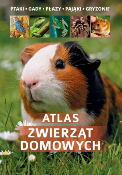 Atlas zwierząt domowych - Manfred Uglorz | okładka