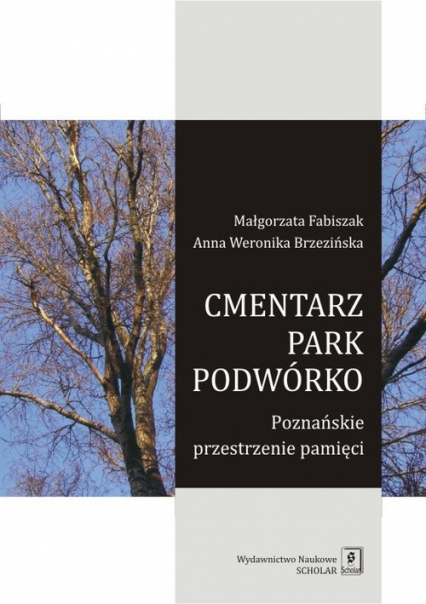 Cmentarz park podwórko Poznańskie przestrzenie pamięci - Brzezińska Anna Weronika, Fabiszak Małgorzata | okładka