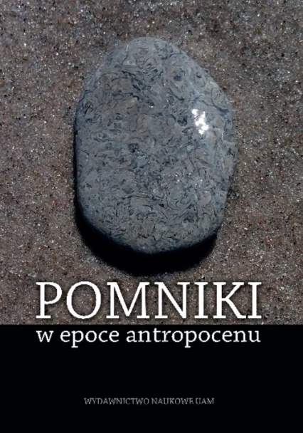 Pomniki w epoce antropocenu - Małgorzata(red.) Praczyk | okładka