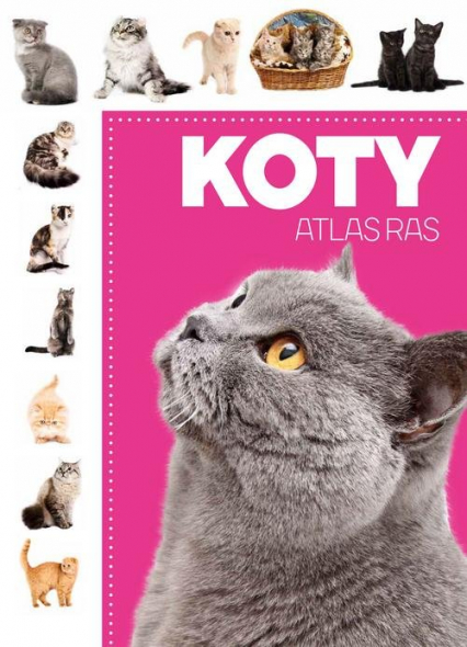 Koty Atlas ras -  | okładka