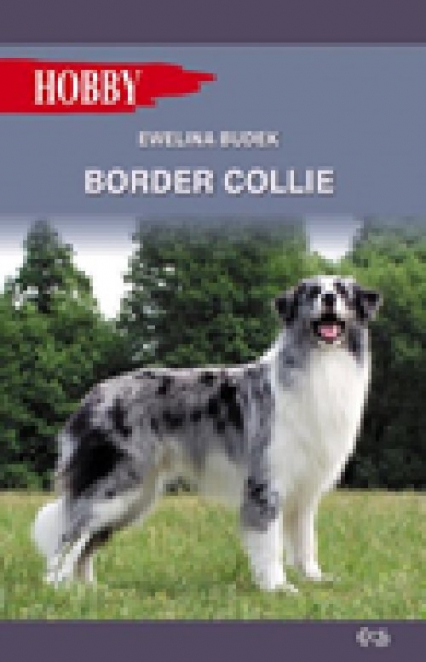 Border Collie - Ewelina Budek | okładka