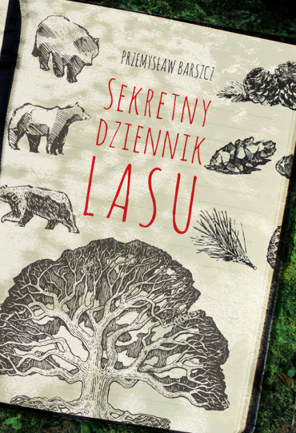 Sekretny dziennik lasu - Przemysław Barszcz | okładka