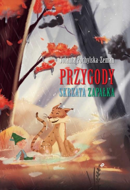 Przygody Skrzata Zapałka - Jolanta Pochylska-Zeman | okładka